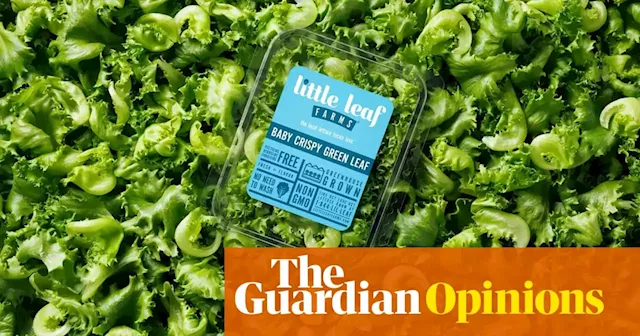 A US company is trying to trademark the shape of its lettuce – but this is just the tip of the iceberg | Arwa Mahdawi