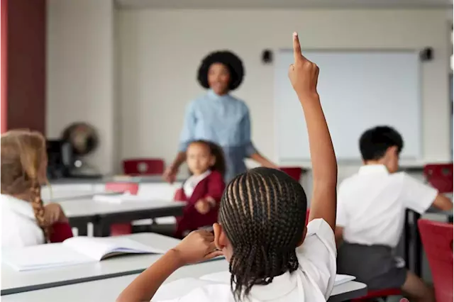 'It can't be business as usual': Pupils tested in African languages performed poorly - study | News24