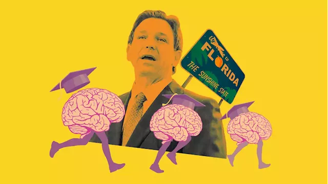 Ron DeSantis’ War on College Is Bad for Florida Business