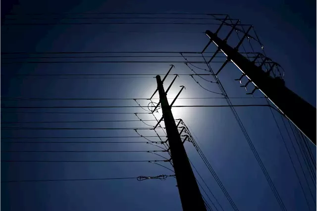 Business, civic groups fear eThekwini won't cope when it goes back to high-level load shedding | News24