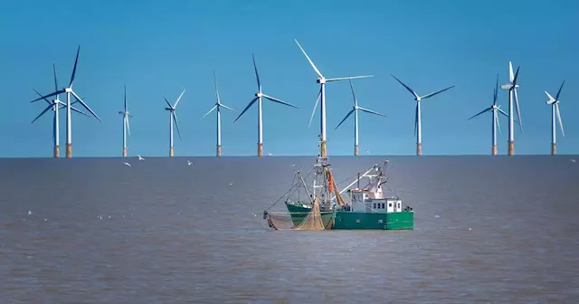 Wind farm developers pledge €500,000 to local fisheries industry