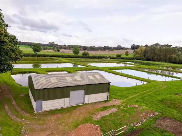 Purpose-built fish farm near Market Drayton for sale at £385,000