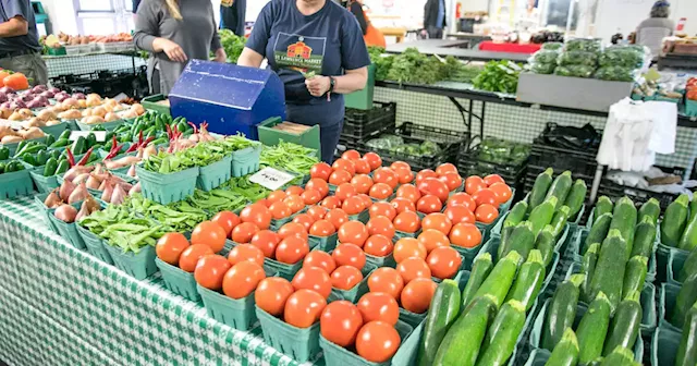 Toronto is getting a new farmers' market in an area that desperately needs one