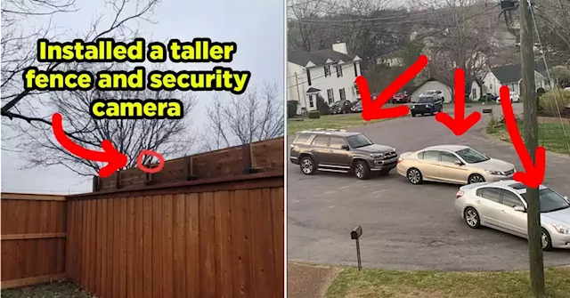 19 Toxic Neighbors Who Have NO BUSINESS Near My Place Of Residence