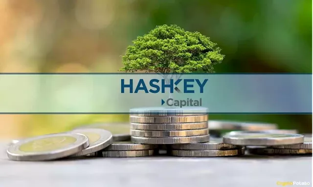 Crypto Investment Fund HashKey in Talks to Raise $200M at $1B Valuation (Report)