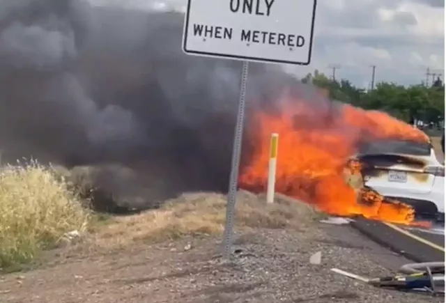 Tesla Owner Speechless at Company's Response After Car Bursts Into Flames