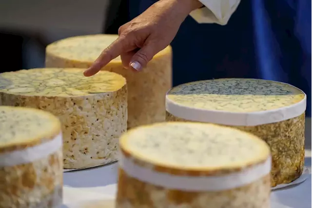 Busted are the cheese makers: Brexit deal damages UK's dairy industry