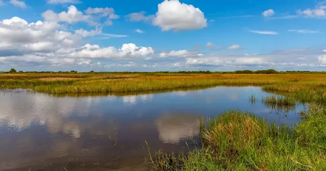 A sprawling coastal Texas ranch hits the market near Powderhorn wildlife area