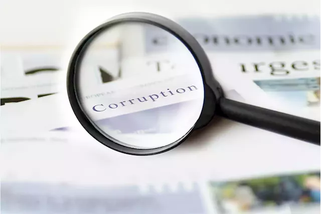 Limpopo companies probed for alleged corruption, nepotism | The Citizen