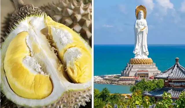 Malaysia Remains Confident Despite China's Growing Durian Industry | TRP