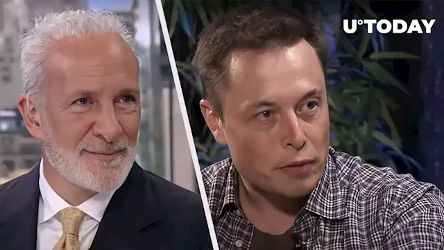 Crypto Hater Peter Schiff Gives Elon Musk Investment Advice