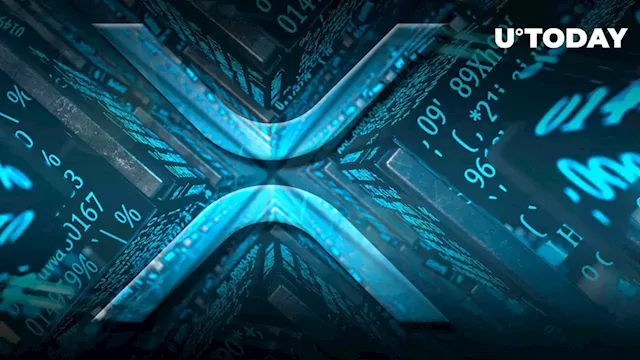 XRP Joins New Market Rally, Is Surge Here to Stay?