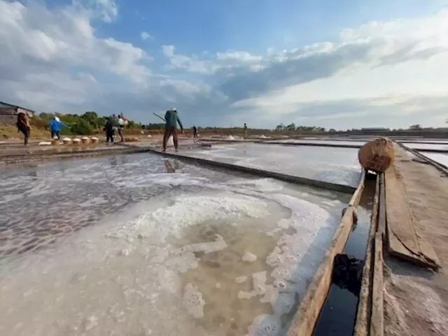 Salt industry development bill hurdles House on third reading