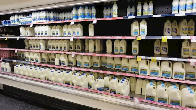 'Very tough': Popular Aussie milk company announces closure