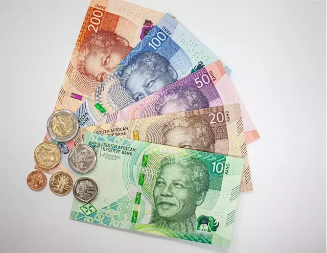 SEE | SA's new banknotes and coins, which celebrate family ties, whales and honey bees | Business