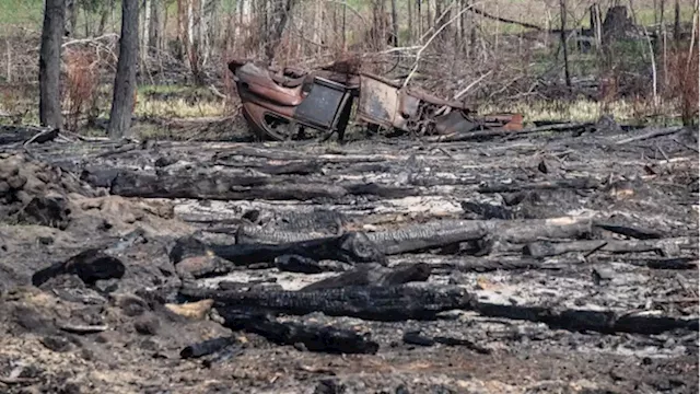 Technology could be key to future wildfire prevention, fighting: companies - BNN Bloomberg