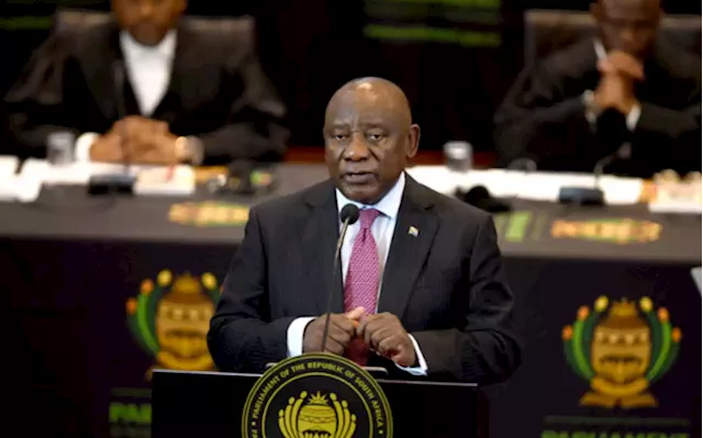 Former 'private sector darling' Ramaphosa losing business sector favour