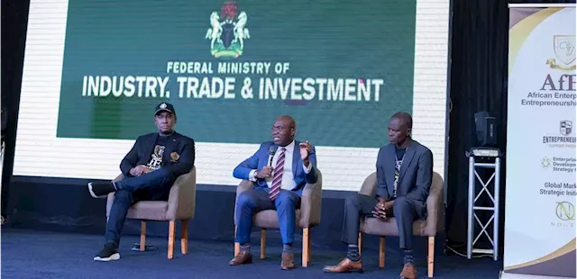 FG adopts Strategy for Direct Investment Promotion