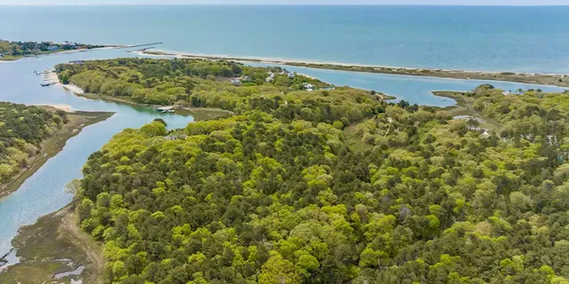 WSJ News Exclusive | Billionaire Bill Koch Puts Cape Cod Land on the Market for $16 Million