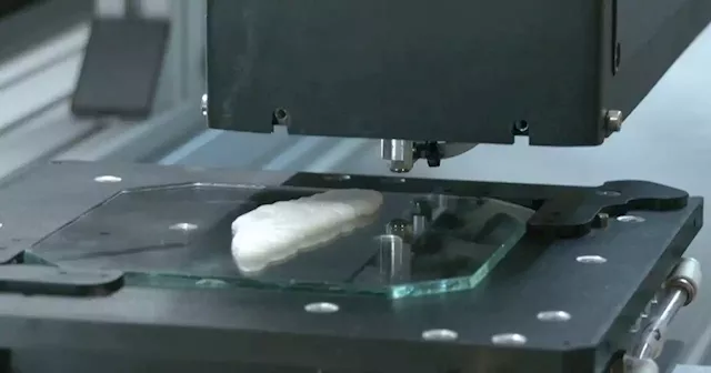 3D printed fish filet could soon hit the market, and more of today's top videos