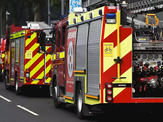 Two dogs rescued from house fire in Market Drayton