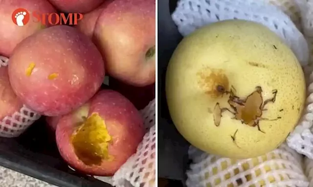 Customer says fruits outside Redhill supermarket bitten by rats, company says it was birds