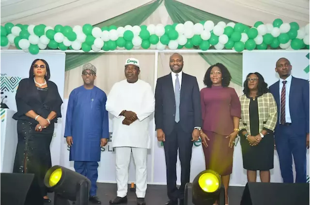 NSIA sets up healthcare companies in Enugu, seeks investment in sector | TheCable