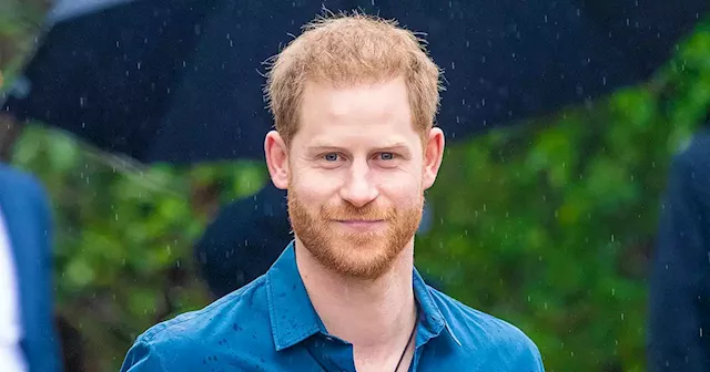 What Is Prince Harry’s Net Worth? A Breakdown of Royal Income, Solo Earnings