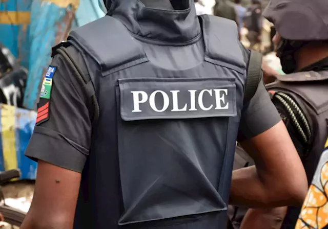 Police arrest three ‘armed robbers who attacked Ogun market’ | TheCable