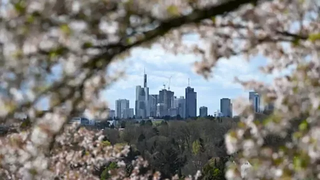 German regulator warns of a 'nervous time' for banks, predicts stress in the property market