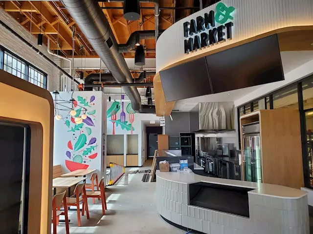 Market and Eatery With On-Site Vertical Hydroponic Farm Is Coming to RiNo This Summer