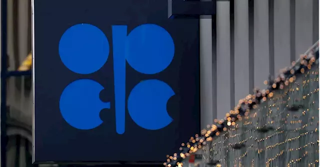 UAE energy minister: OPEC+ voluntary cuts aimed to balance oil market