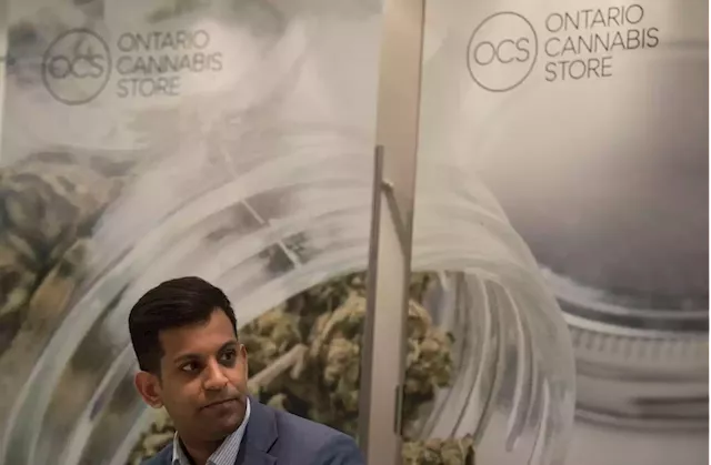 Cannabis price ‘race to the bottom’ hurts market’s future, OCS CEO says