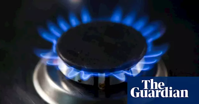 Energy company’s NSW cash for gas appliances promotion labelled ‘backward step’ for climate