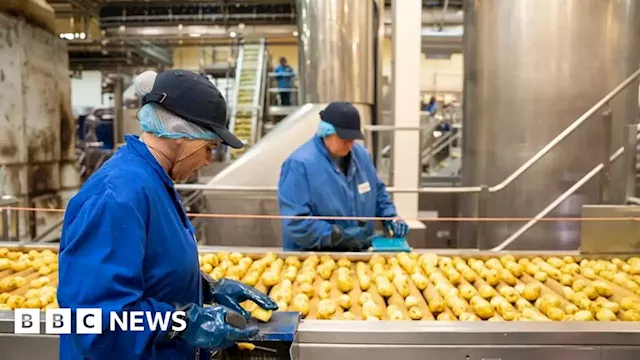 Walkers to get £58m investment at Leicester crisp factory