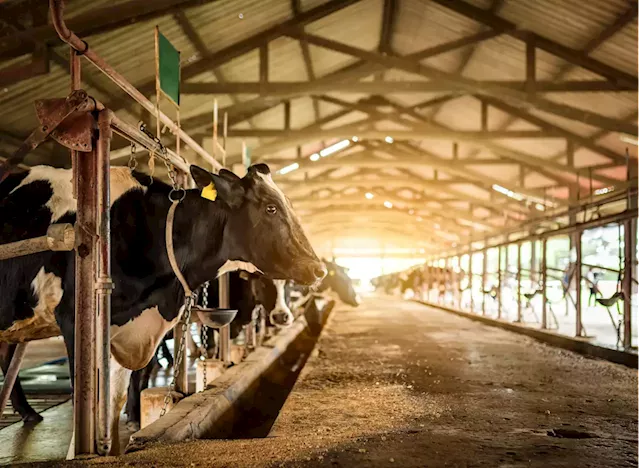 4 Dairy Companies With the Worst Food Quality Practices