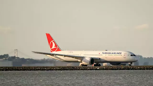 11-year-old girl on Turkish Airlines flight dies after falling ill, company says