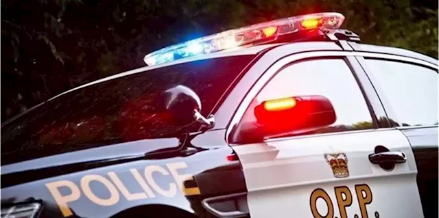 12-year-old faces firearm charges after breaking into Fort Frances business