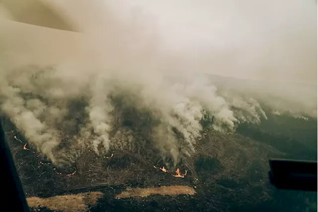 Wildfires across Canada force some forestry companies to pause operations