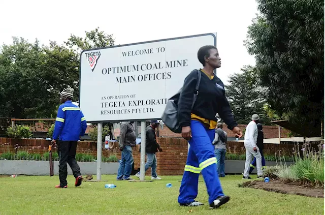 Gupta-linked Optimum agrees with SIU to pay back R6.9m in unpaid motor licence fees | Business