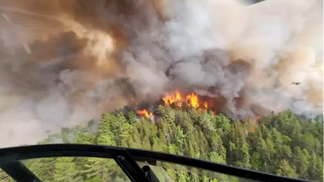 Will wildfires have an impact on Canada's lumber industry? - BNN Bloomberg