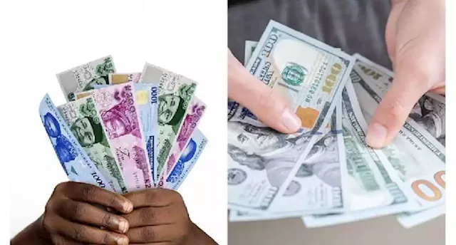 Nigerian Central Bank Allows Dealers, Banks To Sell Forex At Market Rates As Dollar Hits N750 | Sahara Reporters