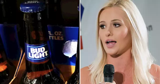 Tomi Lahren says Bud Light must 'acknowledge their mistake' for workers’ good: 'I wish their company felt bad for them’