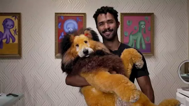 31-year-old's dog grooming business brings in $1.3 million a year: 'I came to the U.S. with two scissors and a clipper'