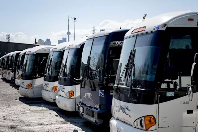 Greyhound bus owner Flix edges towards tock-market listing