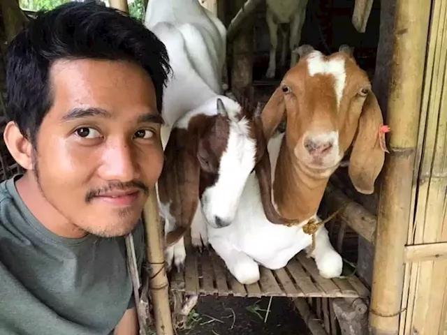 Passion turned profit: Elementary teacher finds goat and chicken farming a profitable business