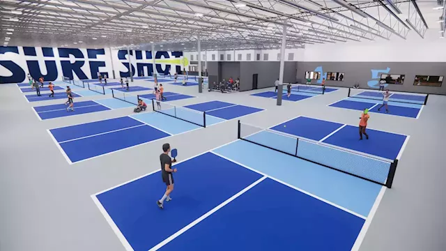 Pickleball a sure shot for new Naperville business