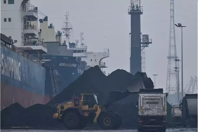 'Black city': Polish port Gdansk chokes on coal dust | Business