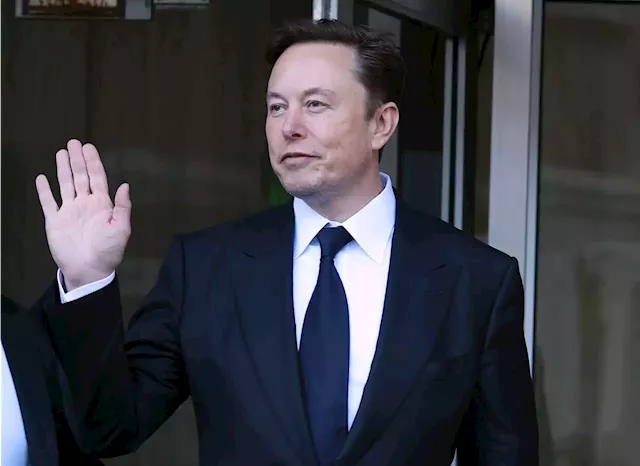 European leaders host Musk, chase Tesla investment | Business