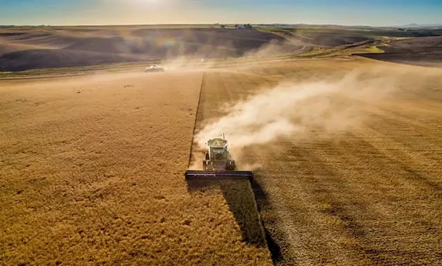 Canadian Prairies farmers try to adapt to a warming world | Business